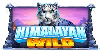 Himalayan Wild