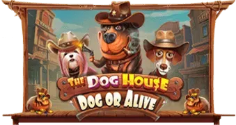 The Dog House – Dog or Alive